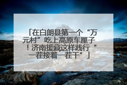 在白朗县第一个“万元村”吃上高原车厘子！济南援藏这样践行“一茬接着一茬干”