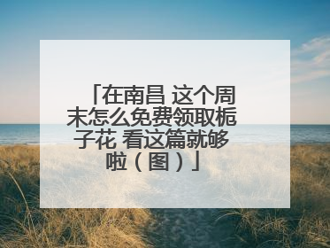 在南昌 这个周末怎么免费领取栀子花 看这篇就够啦（图）