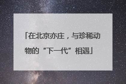 在北京亦庄，与珍稀动物的“下一代”相遇