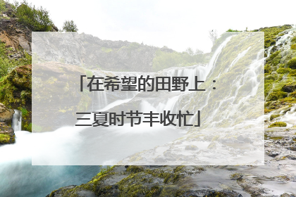 在希望的田野上：三夏时节丰收忙