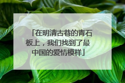 在明清古巷的青石板上，我们找到了最中国的爱情模样