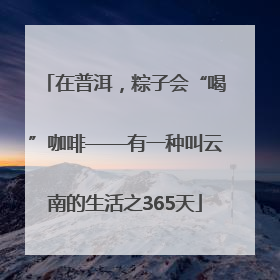 在普洱，粽子会“喝”咖啡——有一种叫云南的生活之365天