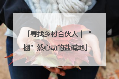 寻找乡村合伙人｜“棚”然心动的盐碱地