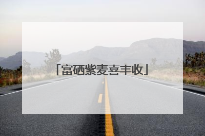 富硒紫麦喜丰收