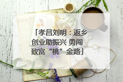 孝昌刘明：返乡创业助振兴 勇闯致富“桃”金路