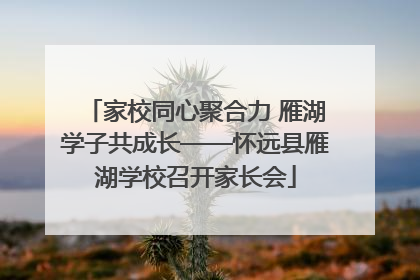 家校同心聚合力 雁湖学子共成长——怀远县雁湖学校召开家长会