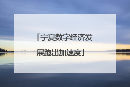 宁夏数字经济发展跑出加速度