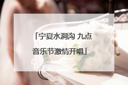 宁夏水洞沟 九点音乐节激情开唱