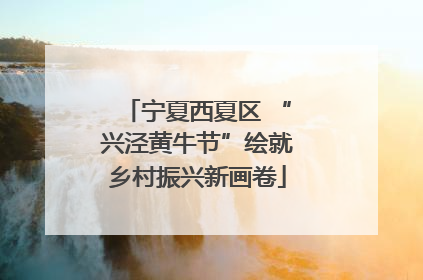 宁夏西夏区 “兴泾黄牛节”绘就乡村振兴新画卷