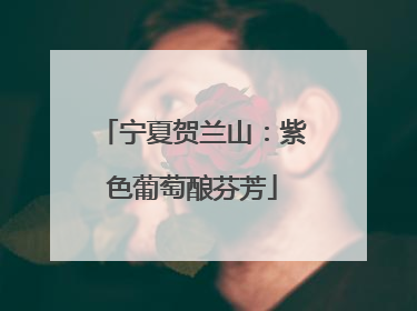 宁夏贺兰山：紫色葡萄酿芬芳