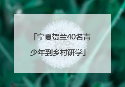 宁夏贺兰40名青少年到乡村研学