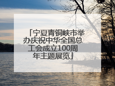 宁夏青铜峡市举办庆祝中华全国总工会成立100周年主题展览