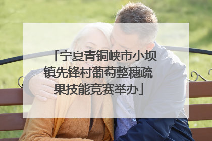宁夏青铜峡市小坝镇先锋村葡萄整穗疏果技能竞赛举办