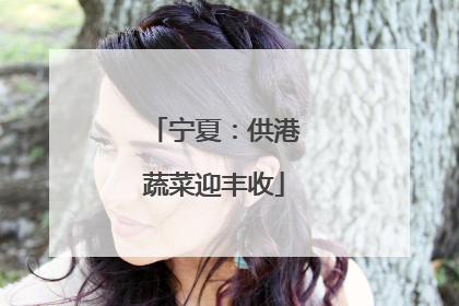 宁夏：供港蔬菜迎丰收
