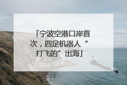 宁波空港口岸首次，四足机器人“打飞的”出海
