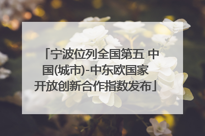 宁波位列全国第五 中国(城市)-中东欧国家开放创新合作指数发布