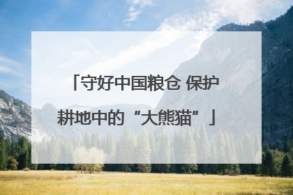 守好中国粮仓 保护耕地中的“大熊猫”