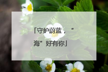 守护蔚蓝，“海”好有你