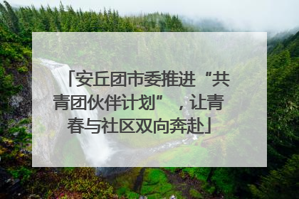 安丘团市委推进“共青团伙伴计划”，让青春与社区双向奔赴