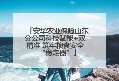 安华农业保险山东分公司科技赋能+双精准 筑牢粮食安全“稳定器”