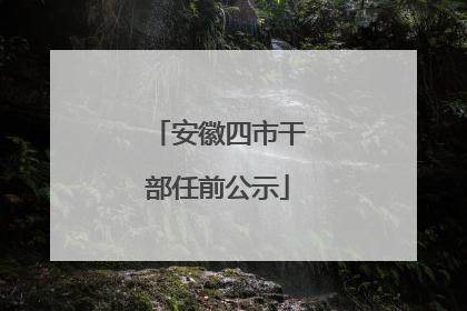 安徽四市干部任前公示