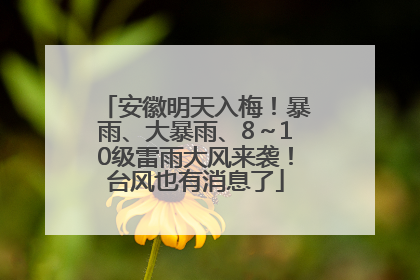 安徽明天入梅！暴雨、大暴雨、8～10级雷雨大风来袭！台风也有消息了