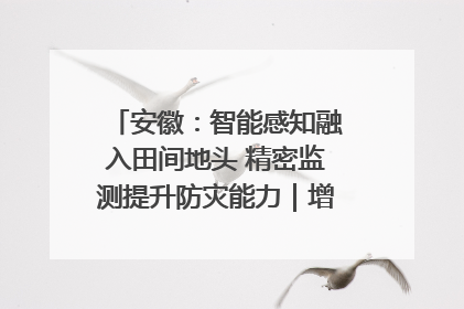 安徽:智能感知融入田间地头 精密监测提升防灾能力|增发国债气象项目落地见效系列报道