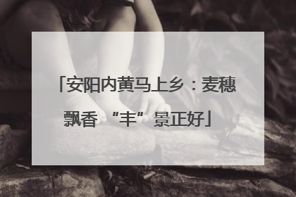 安阳内黄马上乡：麦穗飘香 “丰”景正好