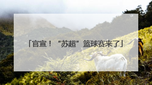 官宣！“苏超”篮球赛来了