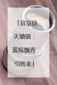 宜章县天塘镇：蓝莓飘香引客来