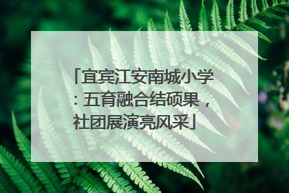 宜宾江安南城小学：五育融合结硕果，社团展演亮风采