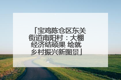 宝鸡陈仓区东关街道南阳村：大棚经济结硕果 绘就乡村振兴新图景