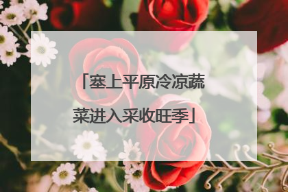 塞上平原冷凉蔬菜进入采收旺季