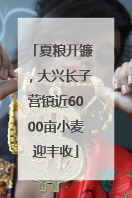 夏粮开镰，大兴长子营镇近6000亩小麦迎丰收