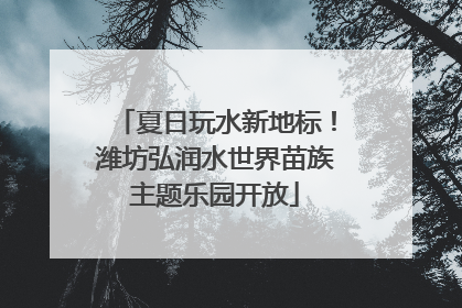 夏日玩水新地标！潍坊弘润水世界苗族主题乐园开放