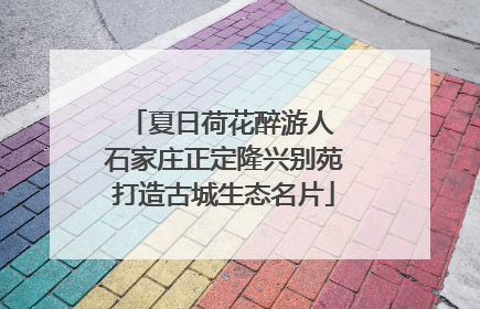 夏日荷花醉游人 石家庄正定隆兴别苑打造古城生态名片