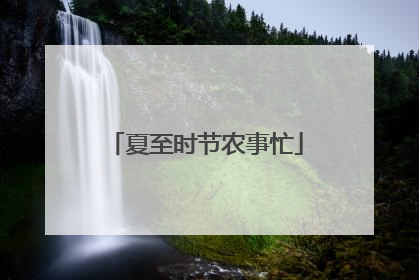 夏至时节农事忙