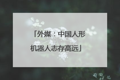 外媒：中国人形机器人志存高远
