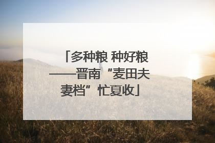 多种粮 种好粮——晋南“麦田夫妻档”忙夏收