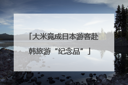 大米竟成日本游客赴韩旅游“纪念品”