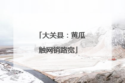 大关县：黄瓜触网销路宽