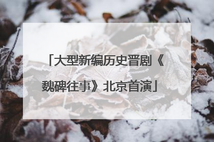 大型新编历史晋剧《魏碑往事》北京首演