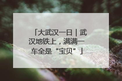 大武汉一日｜武汉地铁上，满满一车全是“宝贝”