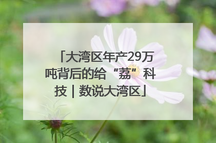 大湾区年产29万吨背后的给“荔”科技｜数说大湾区