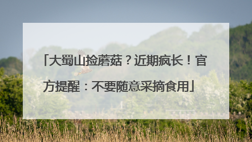 大蜀山捡蘑菇？近期疯长！官方提醒：不要随意采摘食用