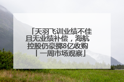 天羽飞训业绩不佳且无业绩补偿，海航控股仍豪掷8亿收购丨一周市场观察