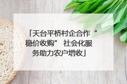 天台平桥村企合作“稳价收购” 社会化服务助力农户增收