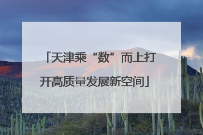 天津乘“数”而上打开高质量发展新空间