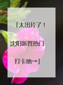 太出片了！沈阳新晋热门打卡地→