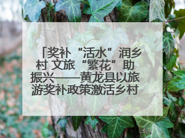 奖补“活水”润乡村 文旅“繁花”助振兴——黄龙县以旅游奖补政策激活乡村振兴新动能